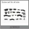 Absima Complete Screw Set